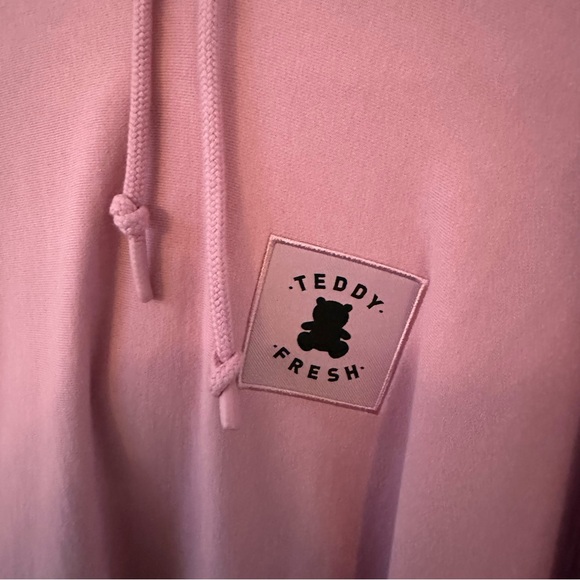 XL Teddy Fresh Pink Hoodie - Picture 2 of 6